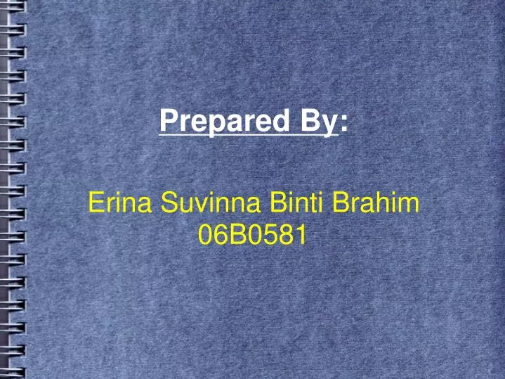 erina suvinna binti brahim 06b0581