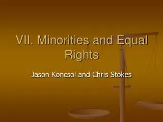 VII. Minorities and Equal Rights