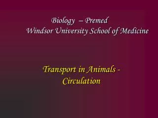 Biology – Premed 	Windsor University School of Medicine