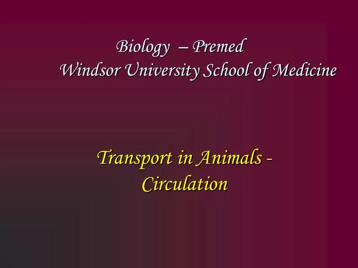 biology premed windsor university school of medicine
