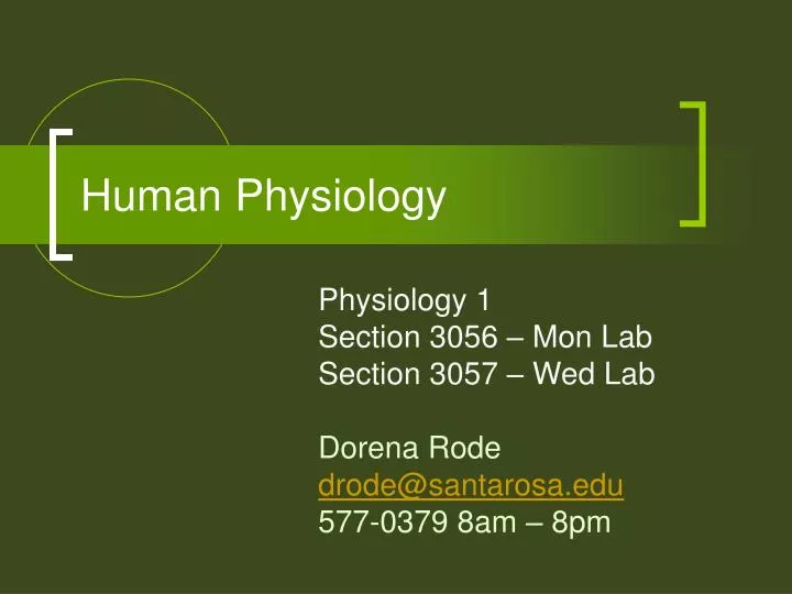 human physiology