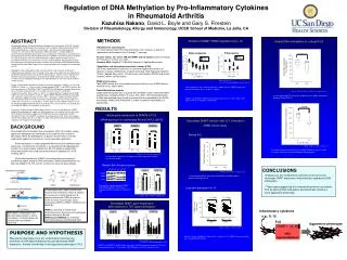 Regulation of DNA Methylation by Pro-Inflammatory Cytokines in Rheumatoid Arthritis