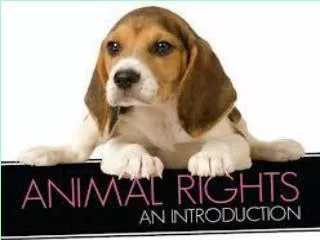 Animal Welfare Animal Rights
