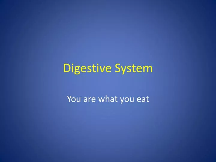 digestive system