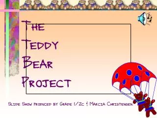 The Teddy Bear Project