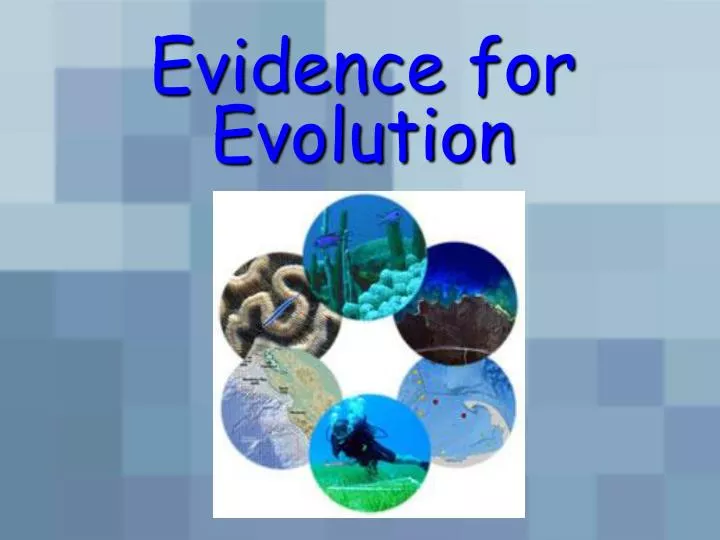 evidence for evolution