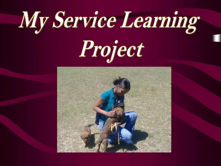 My Service Learning Project