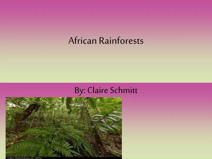 african rainforests