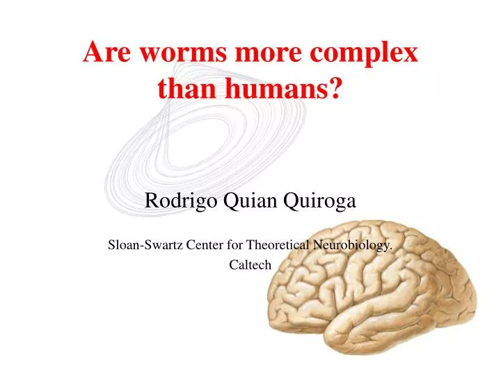 are worms more complex than humans