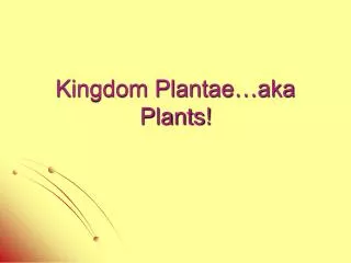 Kingdom Plantae…aka Plants!