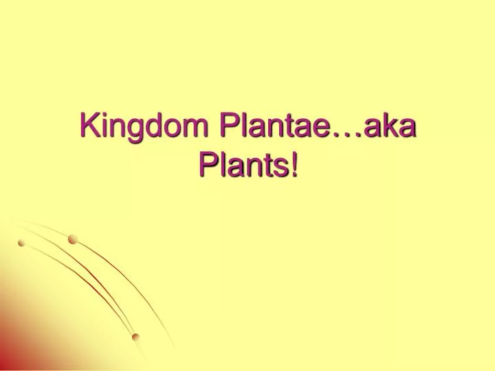 kingdom plantae aka plants