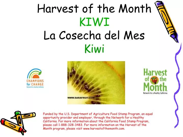 harvest of the month kiwi la cosecha del mes kiwi