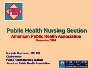 Public Health Nursing Section American Public Health Association November, 2006