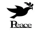 Understanding Peace: Concepts, Movements, and Global Efforts - slide 1