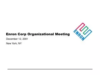 Enron Corp Organizational Meeting