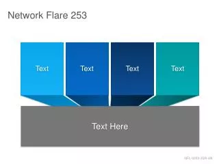 Network Flare 253