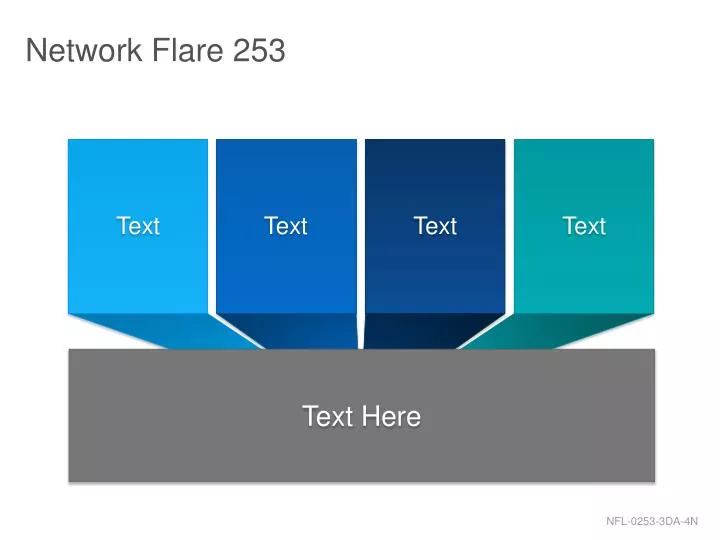 network flare 253