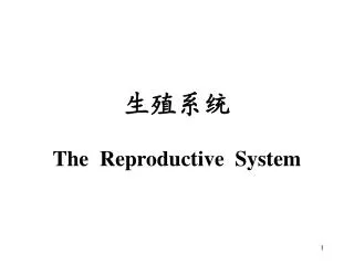 生殖系统 The Reproductive System