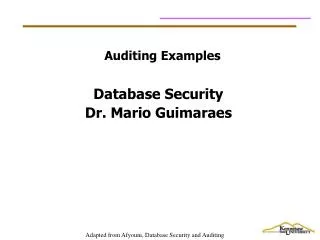 Auditing Examples