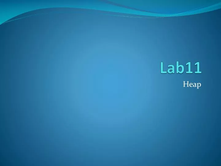 lab11