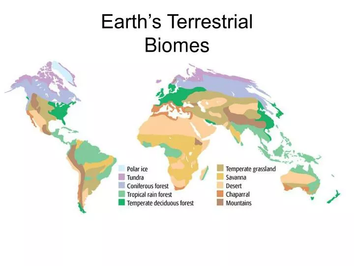 earth s terrestrial biomes