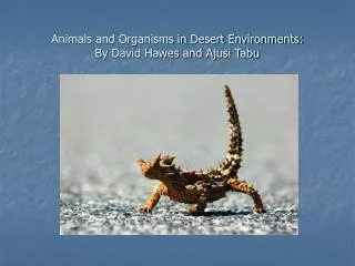Animals and Organisms in Desert Environments: By David Hawes and Ajusi Tabu