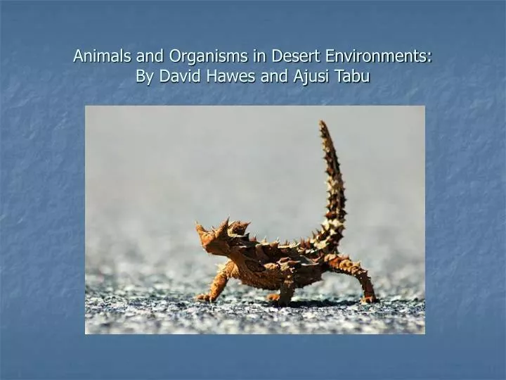 animals and organisms in desert environments by david hawes and ajusi tabu