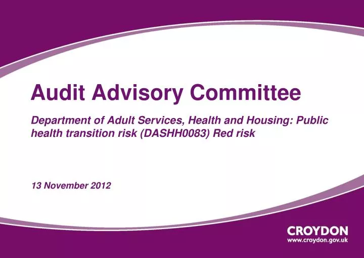 audit advisory committee