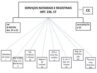 SERVIÇOS NOTARIAIS E REGISTRAIS ART. 236, CF