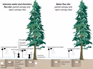 Intensive water and chemistry flux site : paired canopy and open-canopy sites