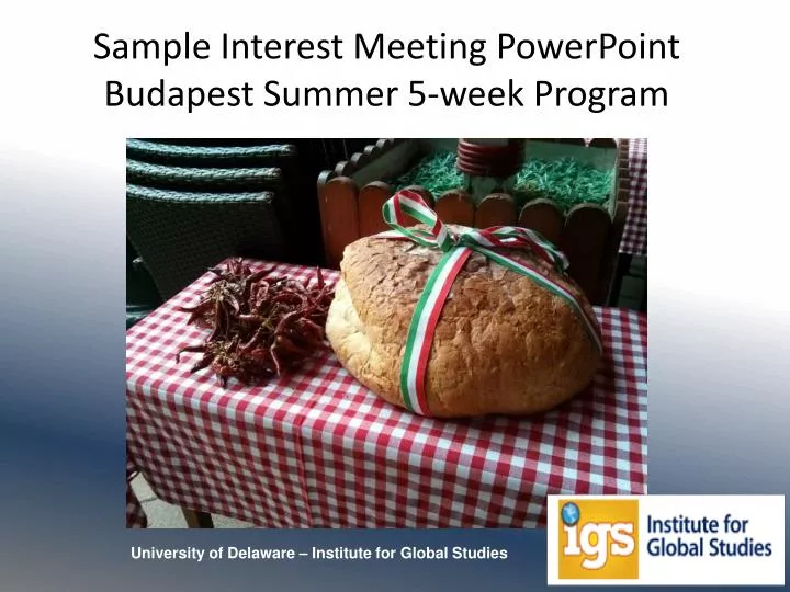 sample interest meeting powerpoint budapest summer 5 week program