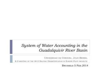 System of Water Accounting in the Guadalquivir River Basin