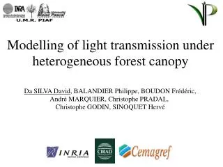 Modelling of light transmission under heterogeneous forest canopy