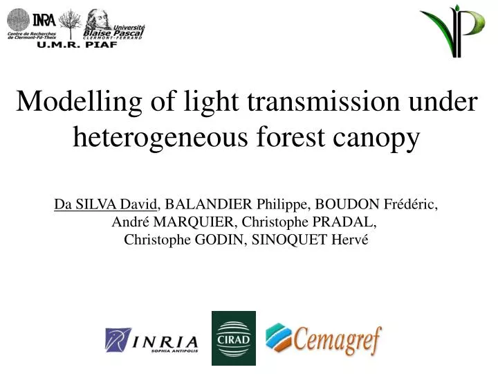 modelling of light transmission under heterogeneous forest canopy