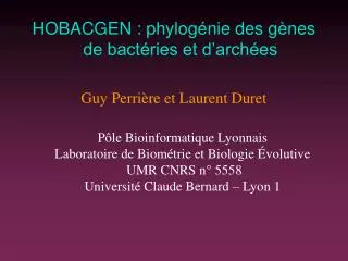 HOBACGEN : phylogénie des gènes de bactéries et d’archées Guy Perrière et Laurent Duret