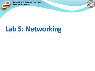 Lab 5: Networking