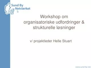 Workshop om organisatoriske udfordringer &amp; strukturelle løsninger