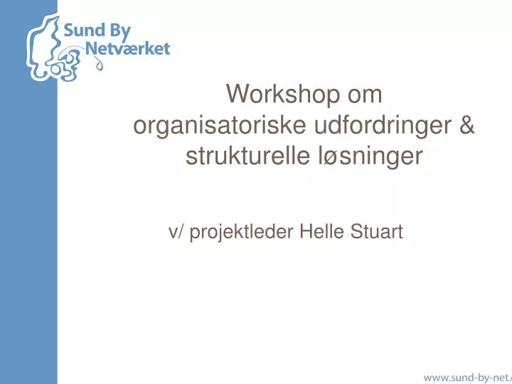 v projektleder helle stuart