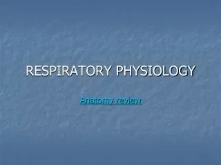 RESPIRATORY PHYSIOLOGY Anatomy review