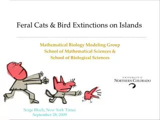 Feral Cats &amp; Bird Extinctions on Islands