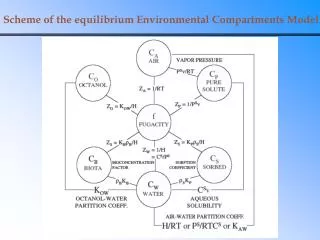 Scheme of the equilibrium Environmental Compartments Model