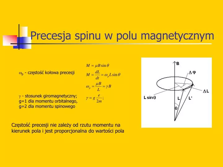 precesja spinu w polu magnetycznym