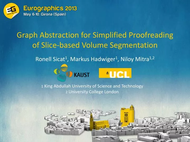 graph abstraction for simplified proofreading of slice based volume segmentation