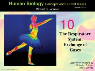 The Respiratory System: Exchange of Gases