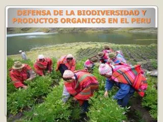 DEFENSA DE LA BIODIVERSIDAD Y PRODUCTOS ORGANICOS EN EL PERU