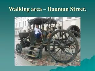 Walking area – Bauman Street.