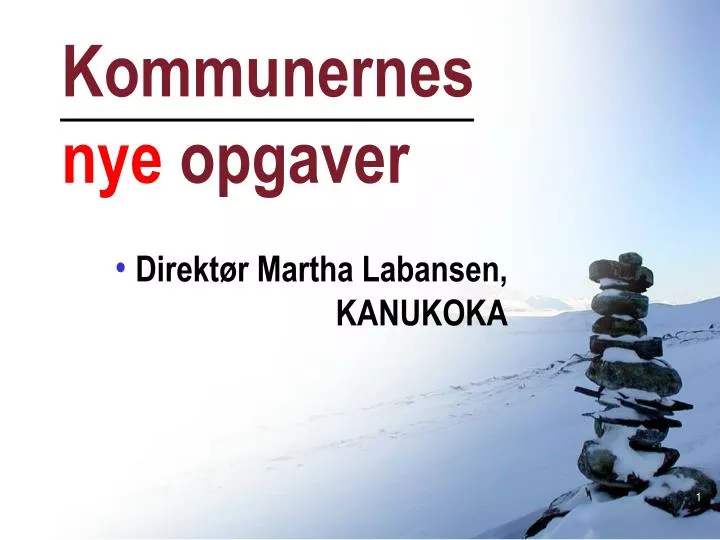 kommunernes nye opgaver