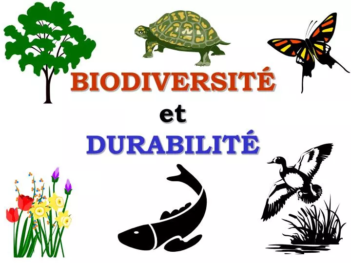 biodiversit et durabilit