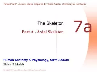 The Skeleton Part A - Axial Skeleton