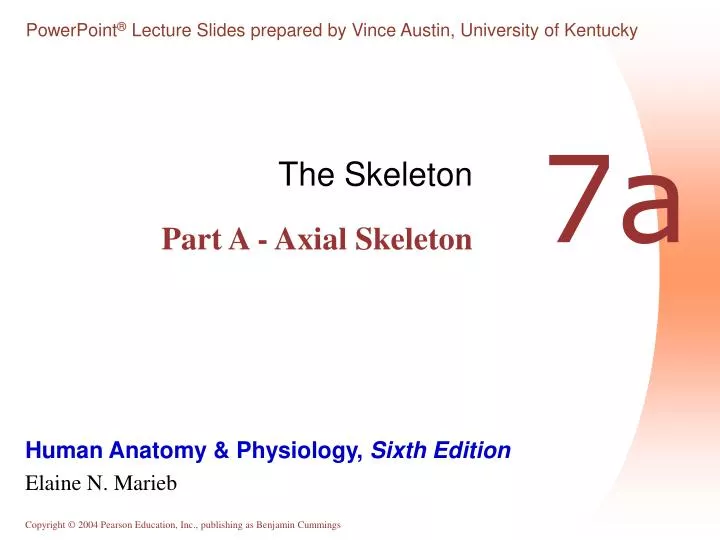 the skeleton part a axial skeleton